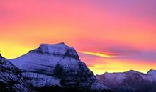 11月五行旺盛，喜添横财，福寿双全的四大生肖