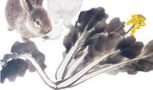 10月财运最好的4生肖，月底发大财！