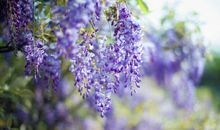 10月底财运冲天，横财进家门，四属相财富值一路涨，事业风生水起