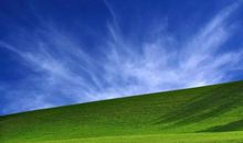 11月飞黄腾达，事业红火，前途无量的4大生肖