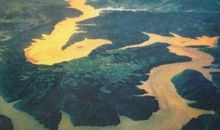 眉毛长痣好不好？有何寓意？