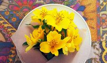 未来8天喜事接二连三，横财一波接一波，鸿运连连的四属相