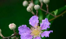 11月中旬财库里不差钱，富贵日子挡不住，财神跟着起飞的3生肖