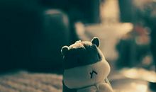 不爱就离婚的生肖男！