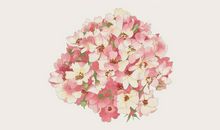 赵名辉塔罗占卜：缘分何时来？