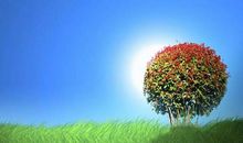 11月喜鹊送喜，添福添财，逢凶化吉的4个生肖