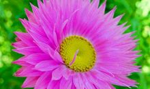 11月身价持续增长，越来越富贵的生肖，喜事接连上演，好运不断