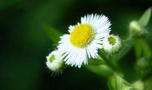 3号起一飞冲天，前景一片光明，洪福天降的四大生肖