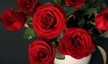 这3大生肖未来10天财运缠身，实现发财梦，日子越过越红火