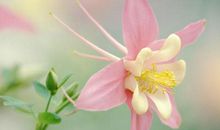 10月到年底，大大好消息！3生肖时来运转，头顶聚宝盆，手握摇钱树，财躲不掉