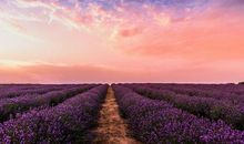 财多福多福气指数高，3个生肖在11月份，事业大成