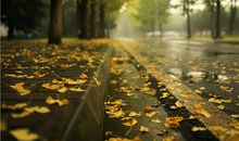 志在四方，眼界最为开阔的三大星座，洞穿世间百态，却又淡泊名利