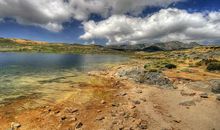 11月好运相随，踏实稳重的四大生肖，福气常伴左右