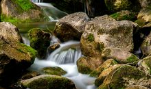 十二生肖2019年11月3日运气：生肖猴恋爱运提升，生肖鸡任务运气下沉