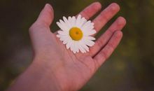 下半年里，喜事接二连三，财运大涨的3大生肖，是你吗？