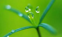 10.17-10.31号运势红火，大财临门，小财不断的生肖