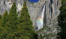 11月中旬，好运傍身，富得流油的四大生肖，人生步入正轨