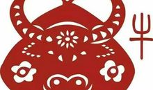 生肖牛、猪、鸡，傻人有傻福，赚钱机会多多！