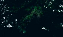 原创 特别有魅力，让所有人都为之着迷，越活越年轻的属相女