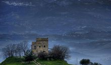 11月好运不断，福寿双全，富贵吉祥的4个生肖