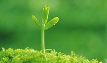 独立性极强的星座，她们没有公主病，却有女王命！