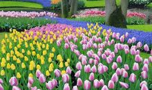 11月开门见喜，财运如虹，出人头地的4大生肖