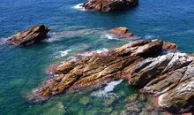 熬到明年好运转眼就到，赚钱顺利，日子不再艰难，一夜暴富的生肖