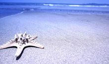 7天内，运势卷土重来，财旺运旺事事旺，迎好运的四大生肖