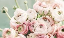 最容不得恋人撒谎的几个星座