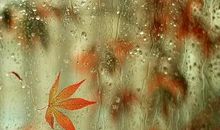 ColinAstrology星象运势 2019年10月 天蝎新月 突发的极端状况