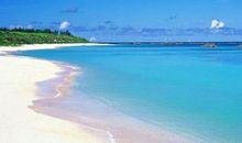 11月中旬财运大增，横财滔天富贵盈门，摇身一变成富贵人的生肖