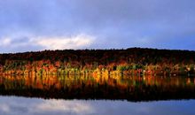 11月平安顺遂，富贵吉祥，接住好运的4个生肖