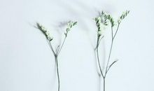 原创 怎样选择公墓风水？