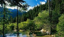 11月财帛不缺，日子富裕，吃好喝好的四大生肖