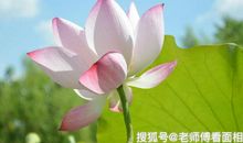 恭喜四生肖运势爆发财旺，10月30号开始财富连连，大财小财收入