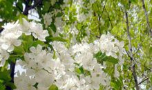 熬过今年，明年起大把钞票进账，生活多福多喜的3生肖