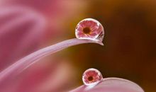 年底得好运重点关照，赚钱多多，富贵到来的生肖，生活富贵无忧