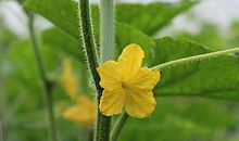 横财大发，偏财中奖，钱财堆满仓的生肖，11月起生活富贵多金