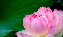 学风水——吉凶之水总论详解