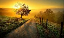 26号开始，喜事接二连三，3生肖天上掉财、地上生金，下半年财源滚滚来