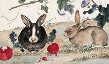 玄清风水命理：十一月份有财神青睐，偏财旺为喜，投资赚钱的3生肖！