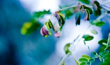 11月中旬，坚定自己的目标，不再迷茫，内心有力量的星座