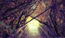 公历生日是阴历还是阳历 公历生日就是阳历