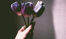 九月运势越来越旺，受吉神照应，商机不断，赚钱丰厚的生肖属相