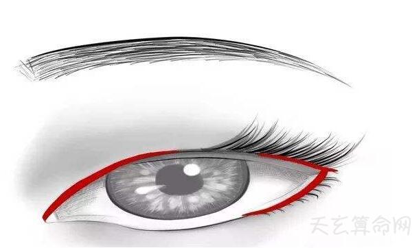 桃花眼和丹凤眼的区别是什么 桃花眼的眼形似若桃花 5