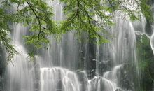 11月1号起，工作如鱼得水，运势一飞冲天的四大生肖