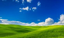 能力与脾气不匹配的生肖男