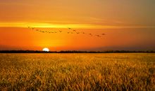 运势提升的3属相，11月初运势旺到爆棚，财富堆满屋