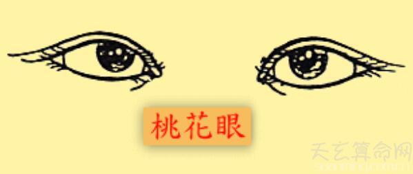 桃花眼和丹凤眼的区别是什么 桃花眼的眼形似若桃花 2