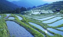 恭喜，一旺到年尾！11月初钞票麻袋装，赚得金山银山的3生肖